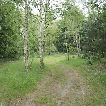Camping Family Bronowice  エクステリア 写真