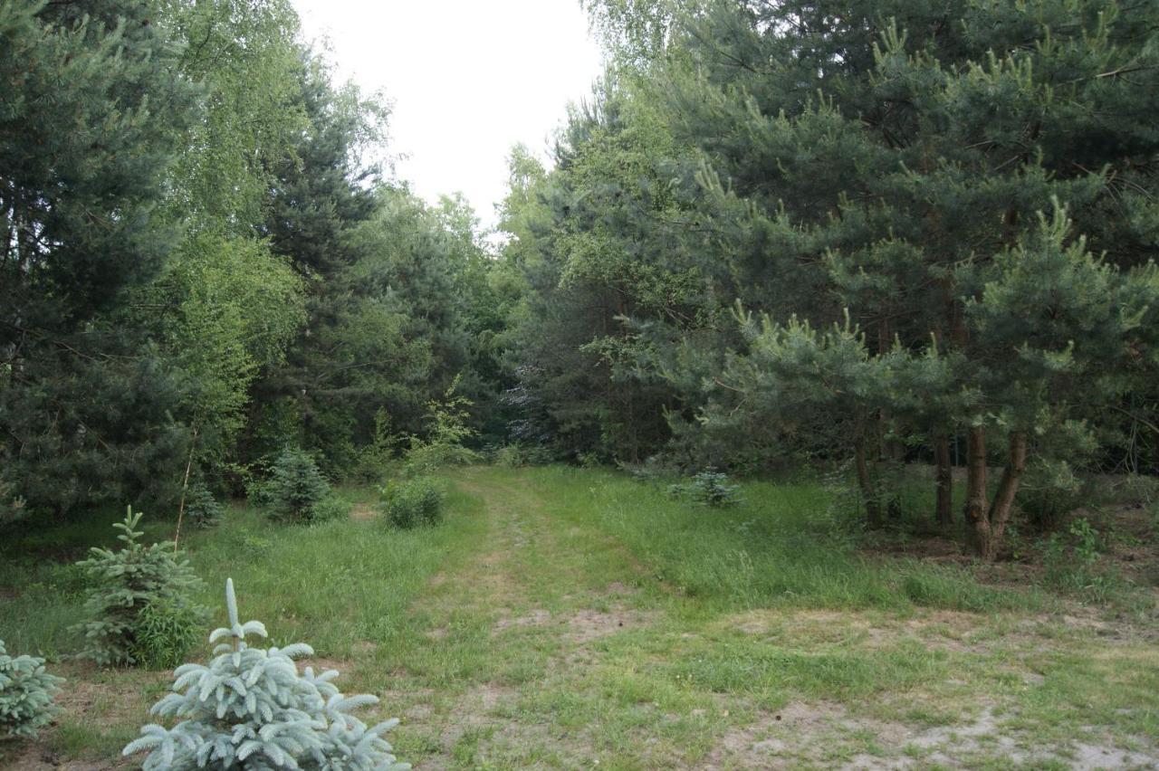 Camping Family Bronowice  エクステリア 写真