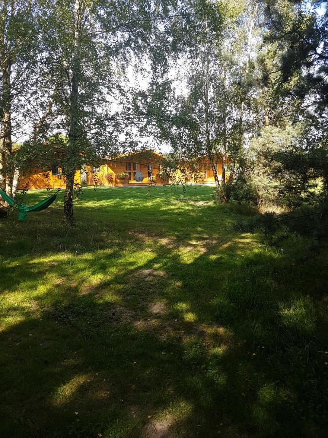Camping Family Bronowice  エクステリア 写真
