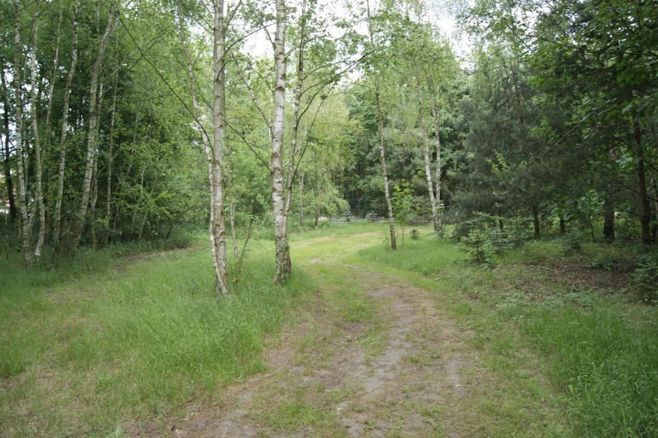 Camping Family Bronowice  エクステリア 写真